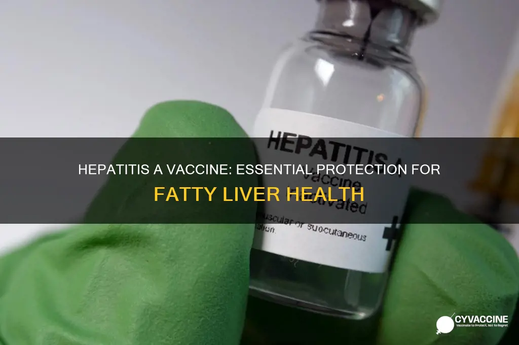 how important hep a vaccine if fatty liver
