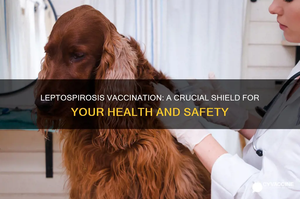 how important is a leptospirosis vaccination