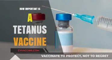 Tetanus Vaccine: Essential Shield Against Deadly Bacterial Infections