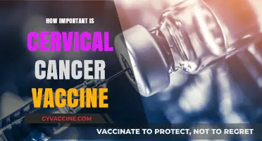 Cervical Cancer Vaccine: A Lifesaving Shield for Women's Health