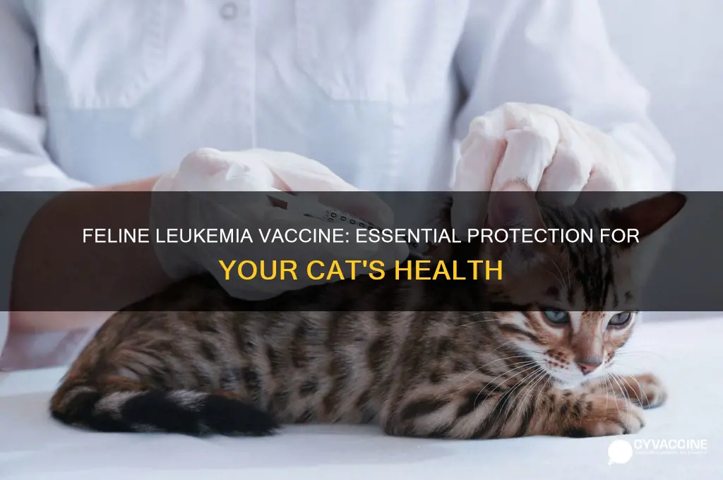 how important is feline leukemia vaccine