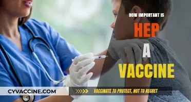 Hepatitis A Vaccine: A Crucial Shield for Your Liver Health