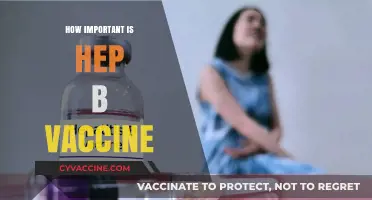 Hepatitis B Vaccine: A Lifesaving Shield Against a Silent Threat