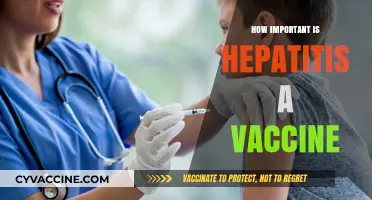 Hepatitis A Vaccine: Essential Protection for Your Health and Safety