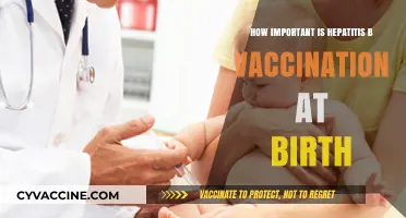 Hepatitis B Vaccination at Birth: A Lifesaving Shield for Newborns