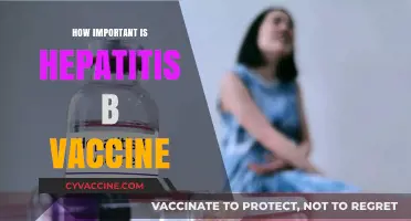 Hepatitis B Vaccine: A Crucial Shield for Lifelong Liver Health
