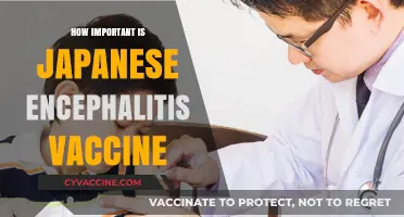 Japanese Encephalitis Vaccine: Essential Protection for Travelers and Locals