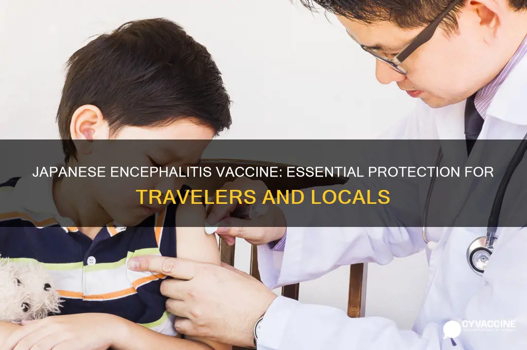 how important is japanese encephalitis vaccine