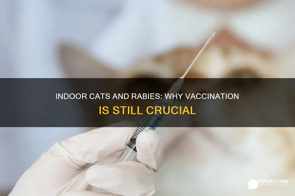 how important is rabies vaccine for indoor cats