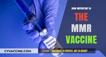 The MMR Vaccine: A Lifesaving Shield Against Measles, Mumps, and Rubella