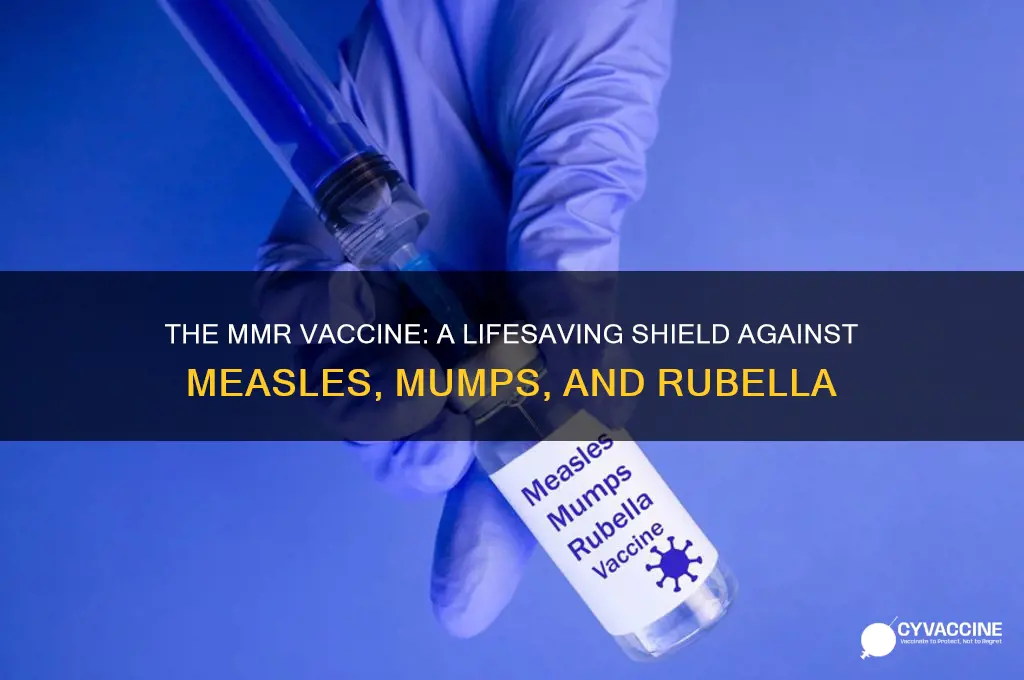 how important is the mmr vaccine