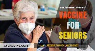 RSV Vaccine: A Vital Shield for Senior Health and Safety