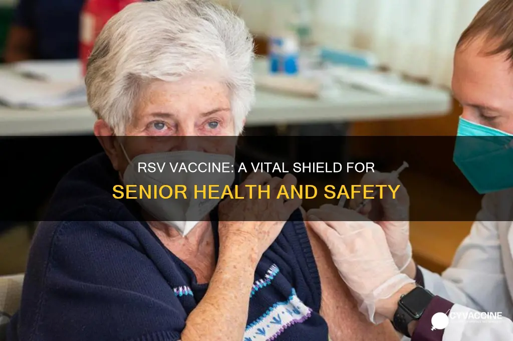 how important is the rsv vaccine for seniors