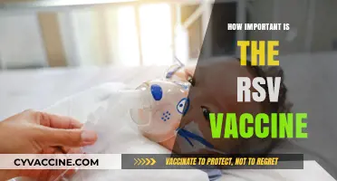 RSV Vaccine: A Crucial Shield for Vulnerable Populations
