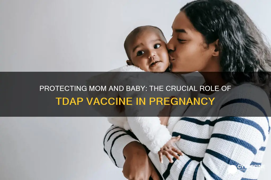 how important is the tdap vaccine during pregnancy