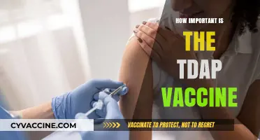 Why the Tdap Vaccine is Crucial for Your Health and Community