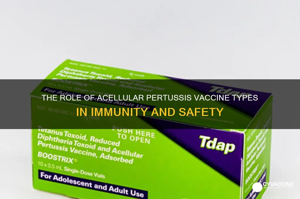 how important is the type of acellular pertussis vaccine