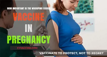 Protecting Baby Early: Why Whooping Cough Vaccine Matters in Pregnancy