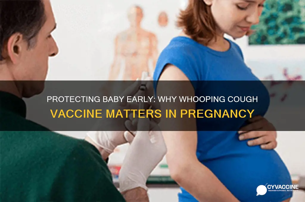 how important is the whooping cough vaccine in pregnancy