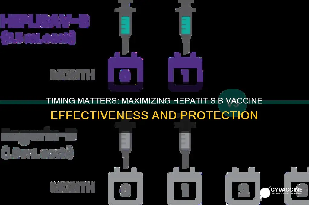 how important is timing for hep b vaccine