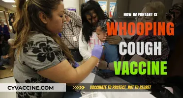 Whooping Cough Vaccine: Essential Protection for Public Health and Safety