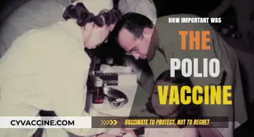 The Polio Vaccine: A Lifesaving Breakthrough and Its Lasting Impact
