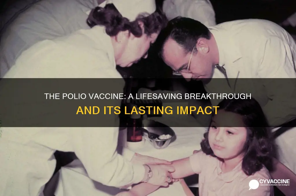 how important was the polio vaccine
