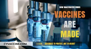 Unveiling the Process: How Inactivated Virus Vaccines Are Manufactured