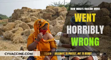 India's Vaccine Drive: A Catastrophic Failure and Its Aftermath