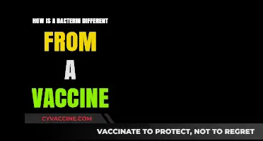 Bacterin vs. Vaccine: Understanding the Key Differences and Uses