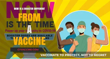 Boosters vs. Vaccines: Key Differences and Their Unique Roles