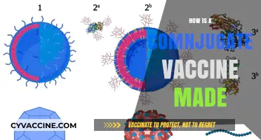 Understanding Conjugate Vaccine Production: A Step-by-Step Manufacturing Process