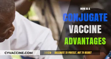 Conjugate Vaccines: Unlocking Enhanced Immunity and Long-Term Protection Advantages