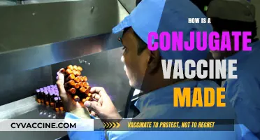 Understanding Conjugate Vaccine Production: A Step-by-Step Manufacturing Process