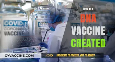 Creating DNA Vaccines: A Step-by-Step Guide to Development and Production
