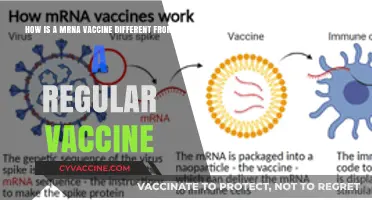 mRNA Vaccines vs. Traditional Vaccines: Key Differences Explained