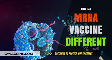Understanding mRNA Vaccines: Key Differences and How They Work