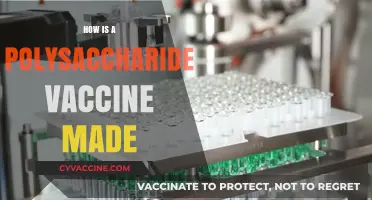Crafting Polysaccharide Vaccines: A Step-by-Step Manufacturing Process Explained