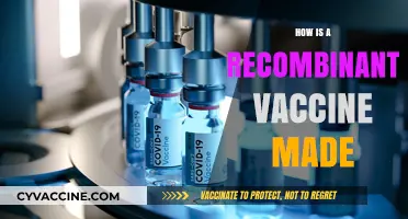 Creating Recombinant Vaccines: A Step-by-Step Manufacturing Process Explained