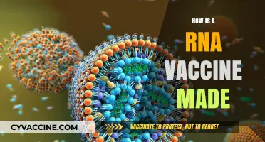 Understanding the Science Behind Creating RNA Vaccines: A Step-by-Step Guide