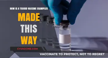 Understanding Toxoid Vaccines: Creation Process and Examples Explained