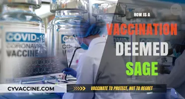 Ensuring Vaccine Safety: Rigorous Testing and Approval Processes Explained