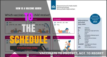 Understanding the Process: How Vaccines Are Added to Immunization Schedules