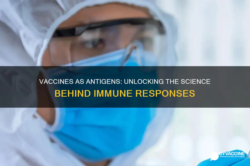 how is a vaccine an antigen