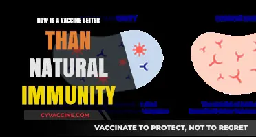 Vaccines vs. Natural Immunity: Why Science Wins for Long-Term Protection