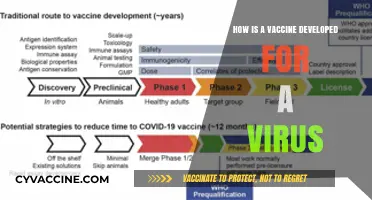 Unveiling the Complex Journey of Developing Viral Vaccines
