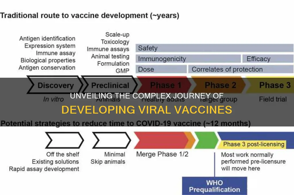 how is a vaccine developed for a virus