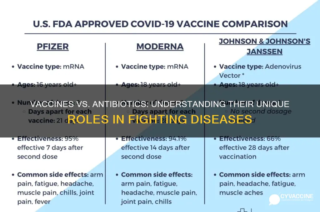 how is a vaccine different from an antibiotic