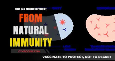 Vaccine vs. Natural Immunity: Understanding the Key Differences