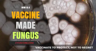 Unveiling the Fungal Vaccine Creation Process: A Comprehensive Guide